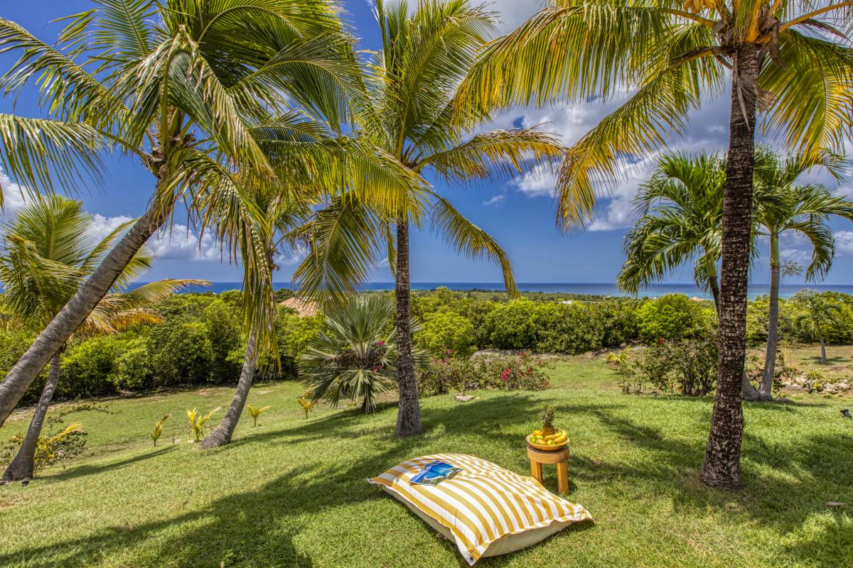 A louer villa 4 chambre Terres Basses Saint Martin_ Jardin - 41